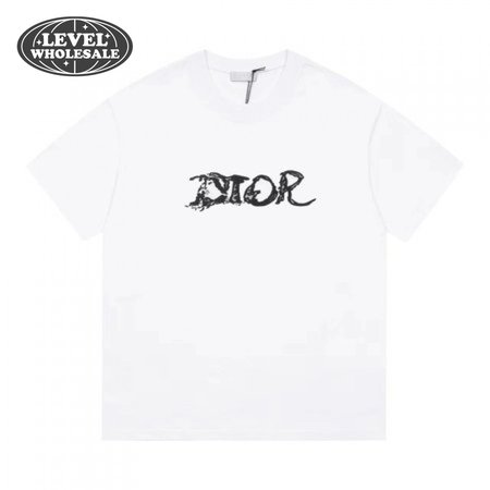 Dior Homme X Peter Doig Oversized Logo T-Shirt White