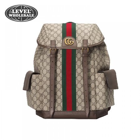 Gucci Ophidia Gg Backpack - GBP107