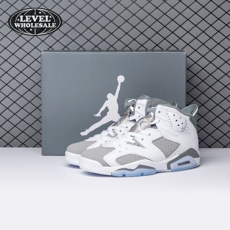 Air Jordan 6 Cool Grey CT8529-100 Size 40-47.5